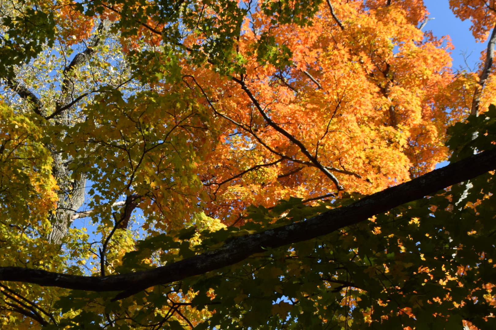 Opinion: Why Fall Is the Best Season in Maryland