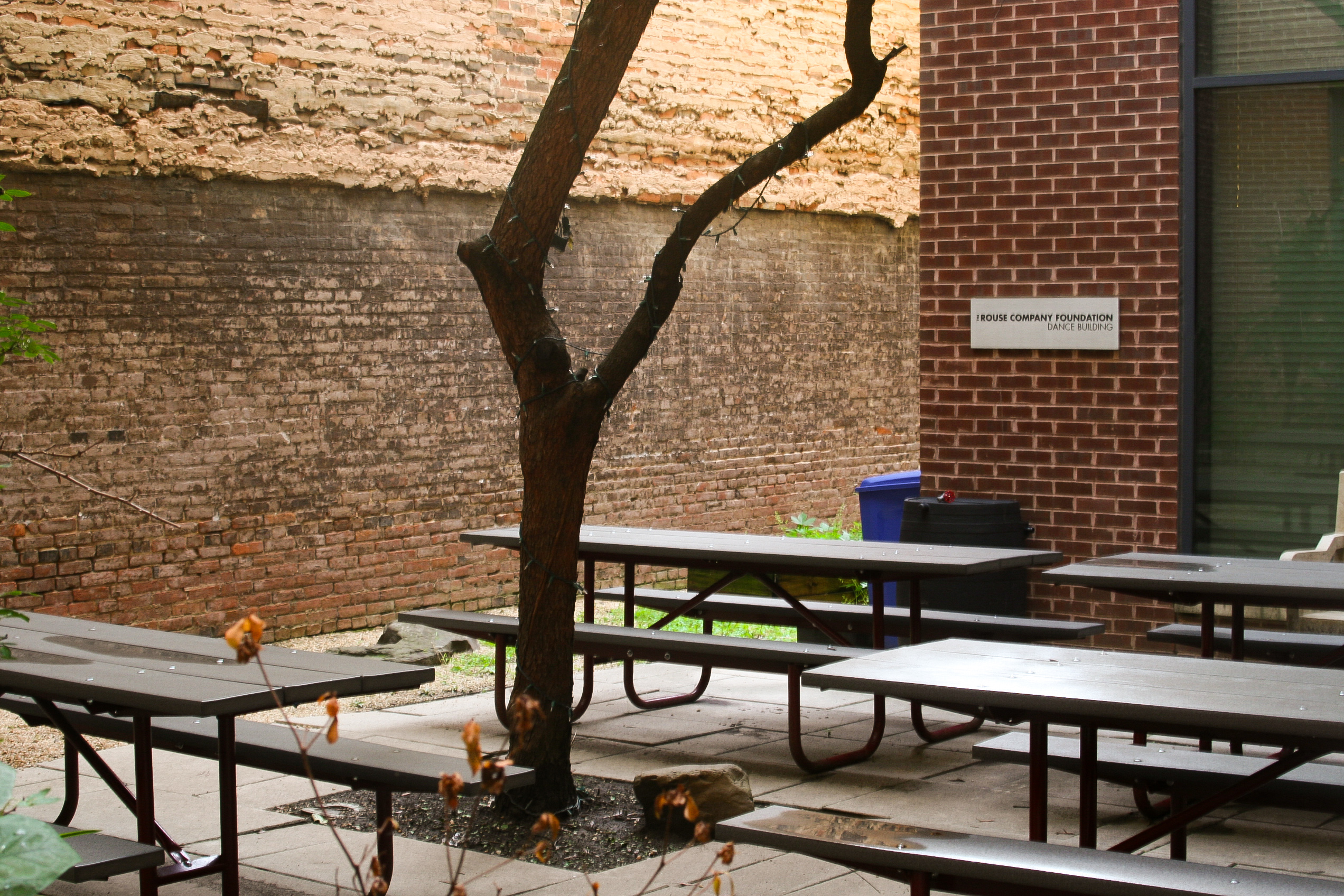 Senior Lunch Privileges Restricted Due to Construction, Rodent Problem